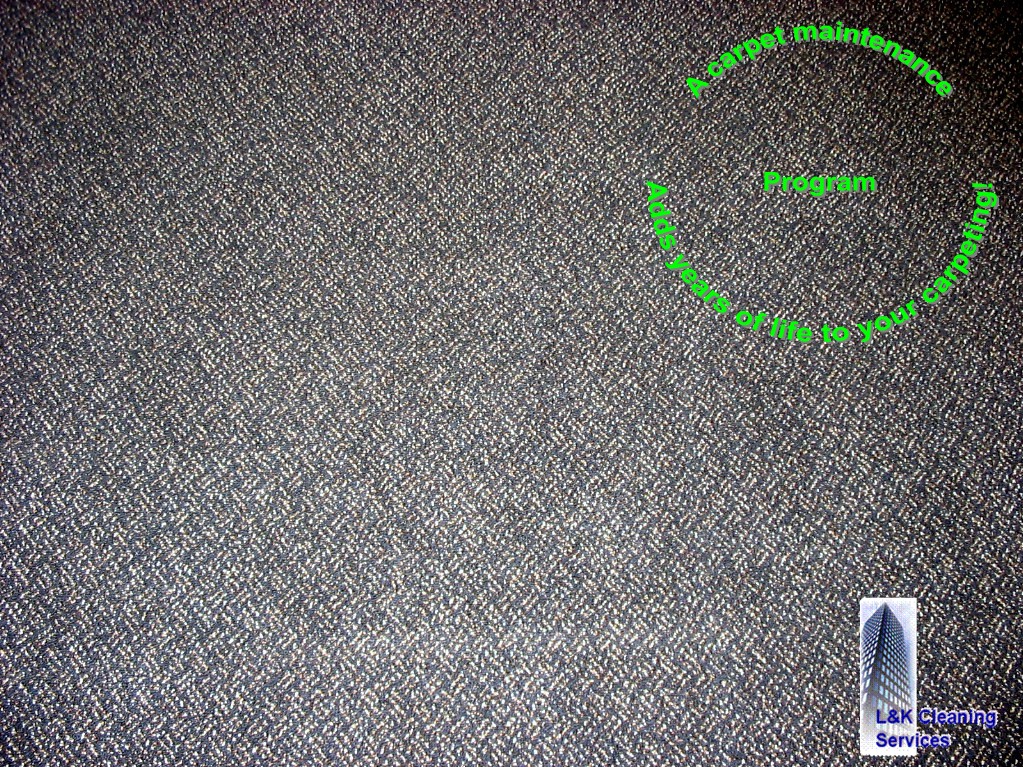 carpetspotoutLK1.jpg